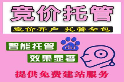 行业领先企业的sem竞价策略：成功案例剖析
